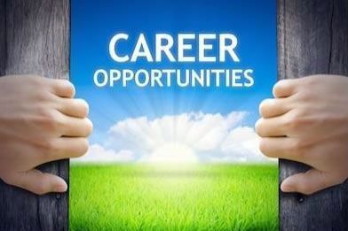 Stertil UK Job and Career Opportunities